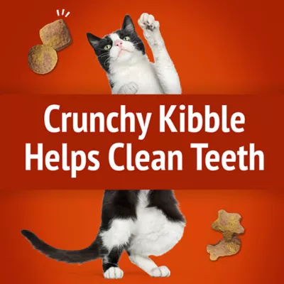 Product Purina® Friskies® Party Mix™ Gravy-licious Cat Treat - Chicken & Gravy