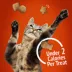 Purina® Friskies® Party Mix™ Gravy-licious Cat Treat - Chicken & Gravy image thumbnail 6