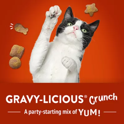 Product Purina® Friskies® Party Mix™ Gravy-licious Cat Treat - Chicken & Gravy