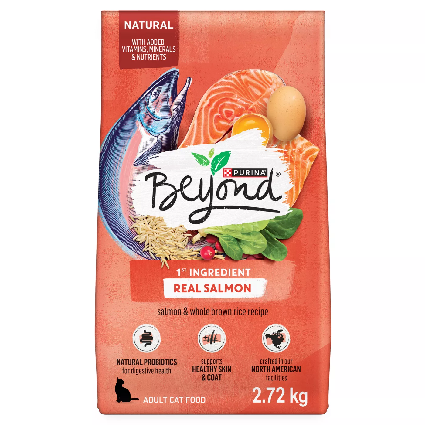 Beyond salmon cat food best sale