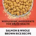 Beyond Simply Dry Cat Food - Salmon & Whole Brown Rice Recipe image thumbnail 8