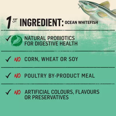 Product Purina® Beyond® Grain Free Dry Cat Food - Ocean Whitefish & Egg Recipe