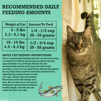 Product Purina® Beyond® Grain Free Dry Cat Food - Ocean Whitefish & Egg Recipe