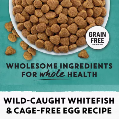 Beyond Grain Free Dry Cat Food - Wild-Caught Whitefish & Free Run Egg Recipe - Image 8