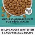 Beyond Grain Free Dry Cat Food - Wild-Caught Whitefish & Free Run Egg Recipe image thumbnail 8