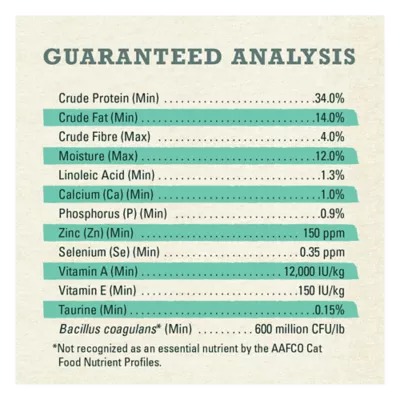 Beyond Grain Free Dry Cat Food - Wild-Caught Whitefish & Free Run Egg Recipe - Image 10