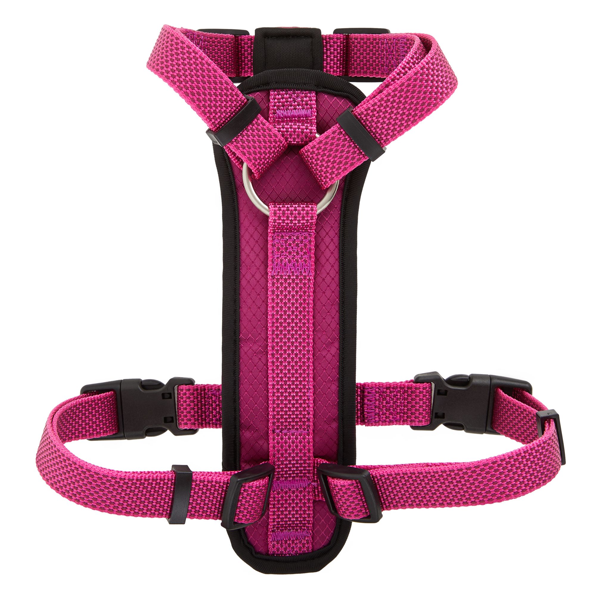 kong dog harness petsmart