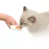 Catit® Creamy™ Lickable Cat Treat image thumbnail 4