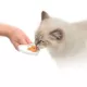 Product Catit® Creamy™ Lickable Cat Treat