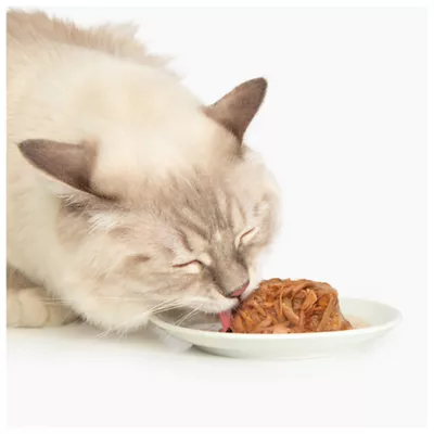 Product Catit® Chicken Dinner Adult Cat Food with Duck and Potato in Gravy