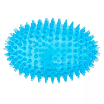 Product Top Paw® Spiky Football Dog Toy - Squeaker