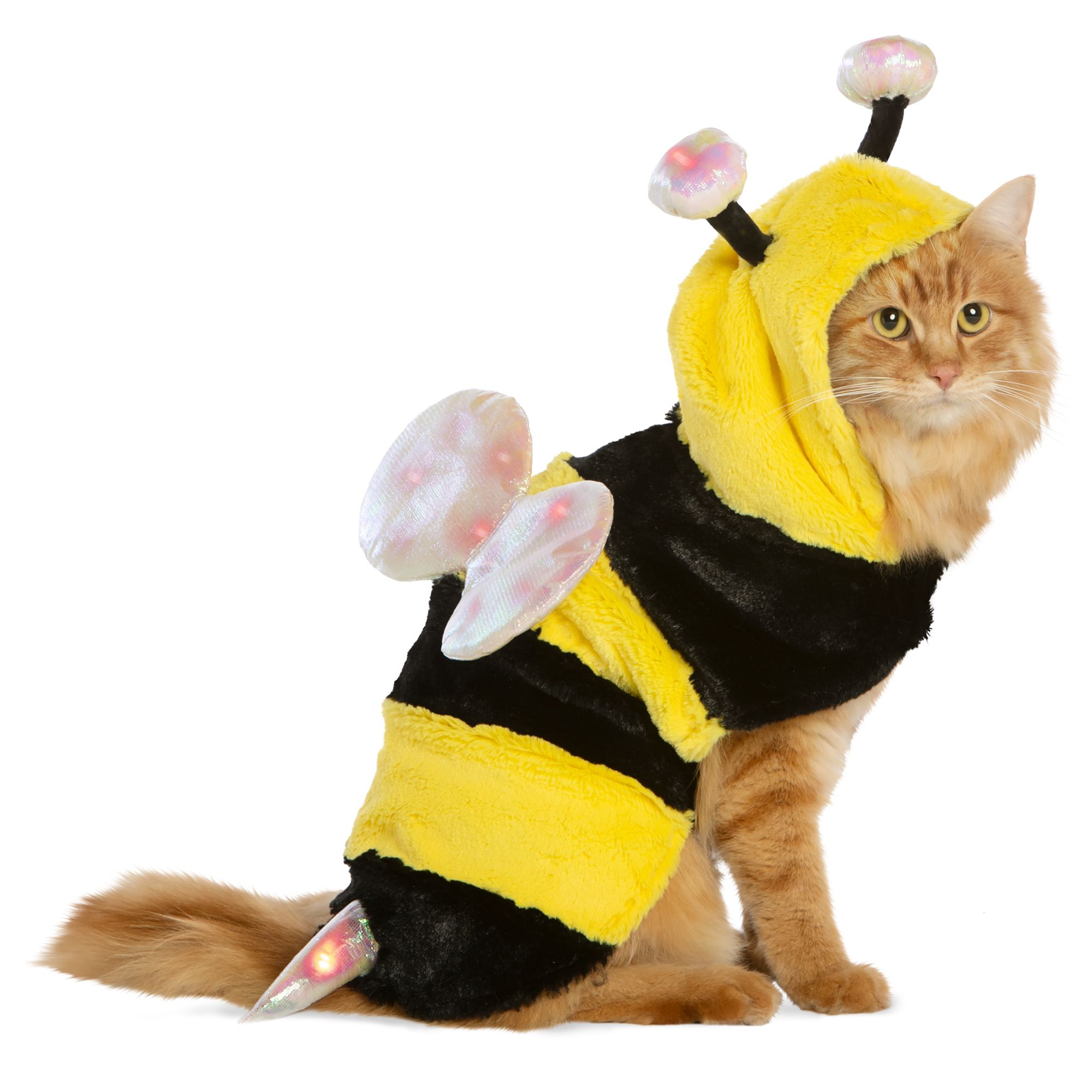 Dog Bee Costume: Thrills & Chills Halloween Bumblebee - Light-Up | Dog ...