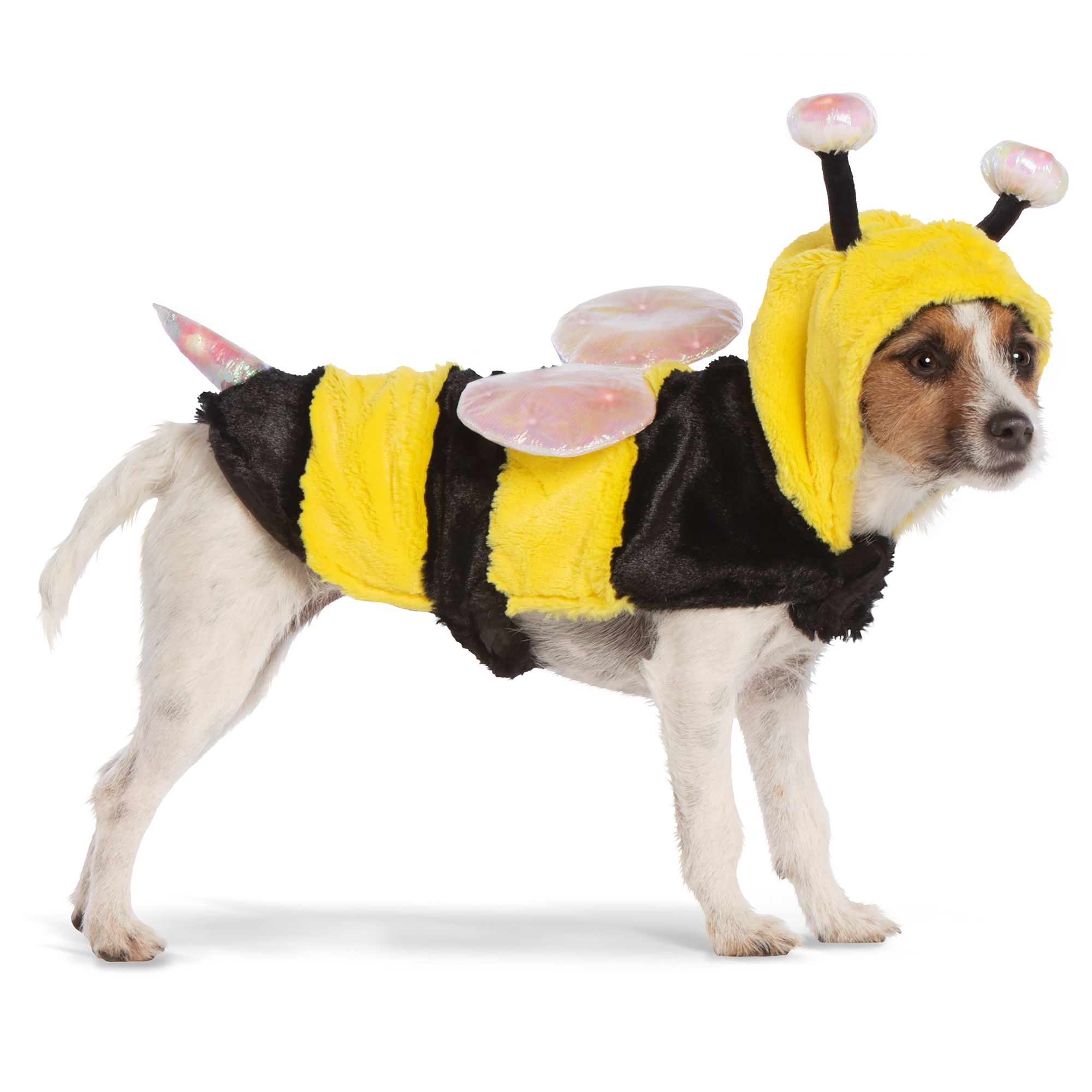 Bumblebee on sale dog costume