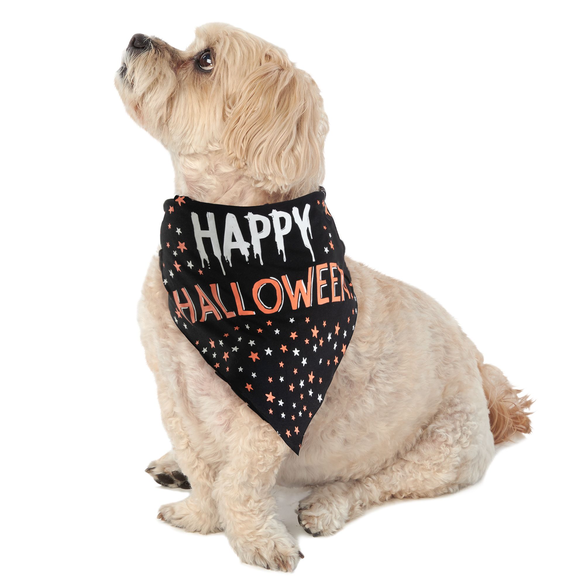 Dog Halloween Bandana Thrills & Chills Happy Halloween Pet Bandana