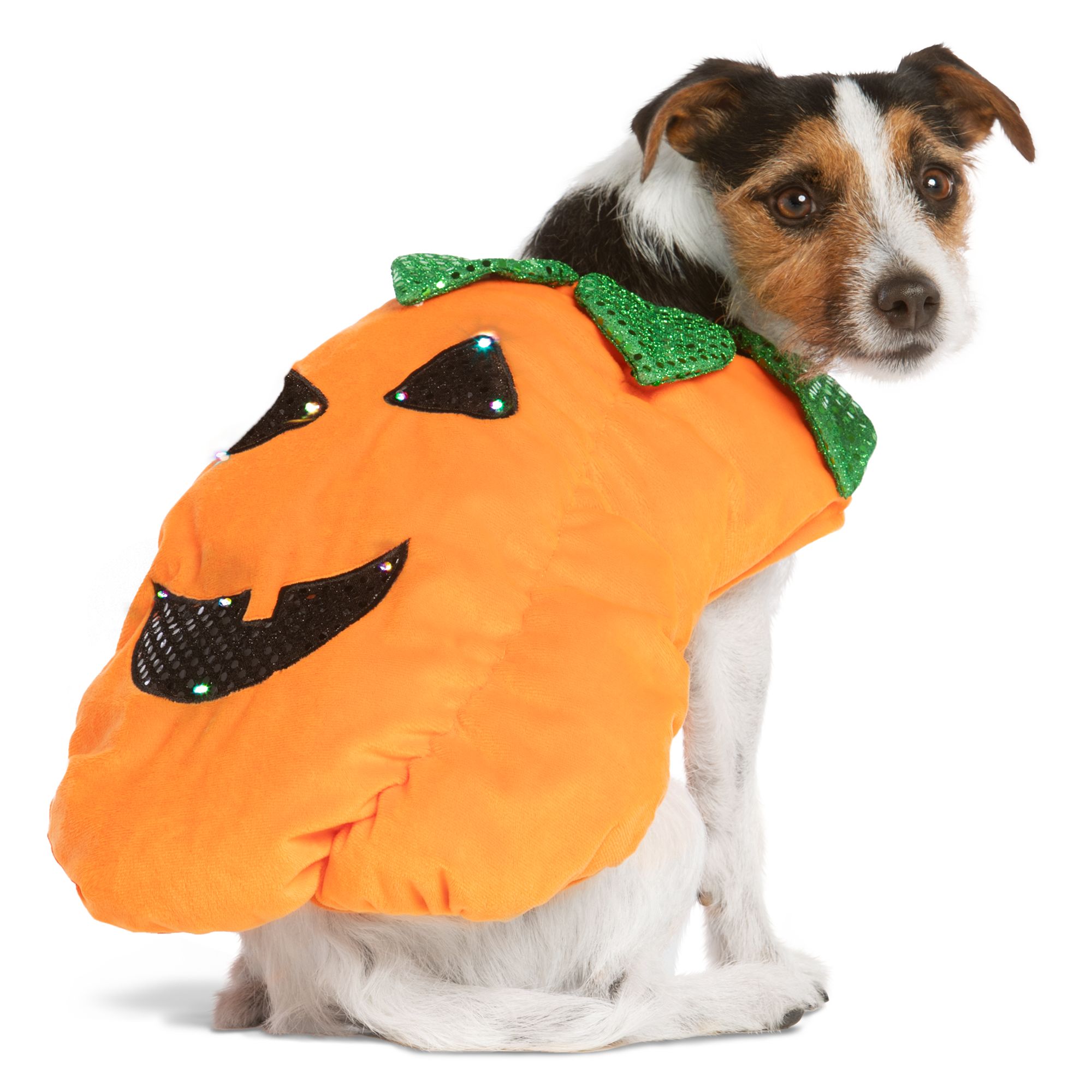 Dog Costumes