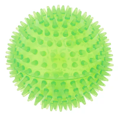 Product Top Paw® Spike Ball Dog Toy - Squeaker