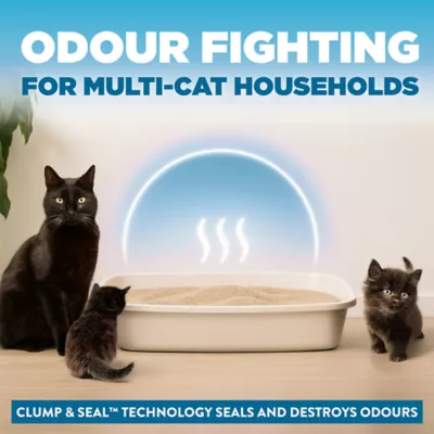 Arm & Hammer Cloud Control Cat Litter - Clumping, Multi Cat - Image 3