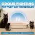 Arm & Hammer Cloud Control Cat Litter - Clumping, Multi Cat image thumbnail 3