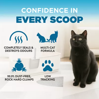 Arm & Hammer Cloud Control Cat Litter - Clumping, Multi Cat - Image 4