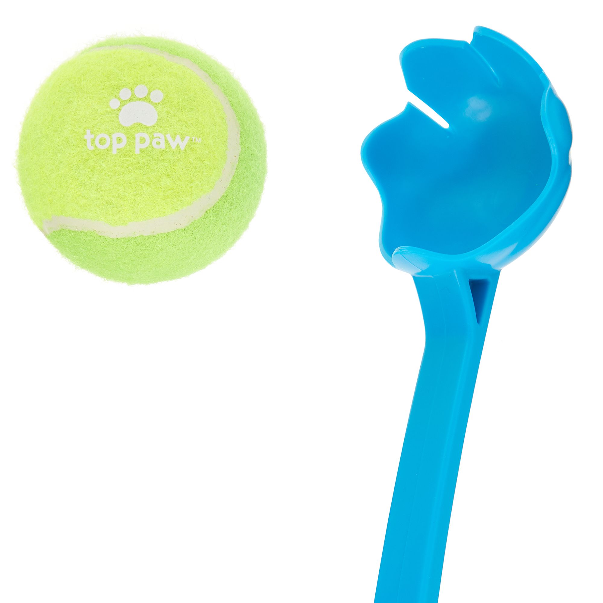 dog fetch toy electric