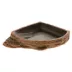 Thrive Brown Reptile Bowl image thumbnail 1