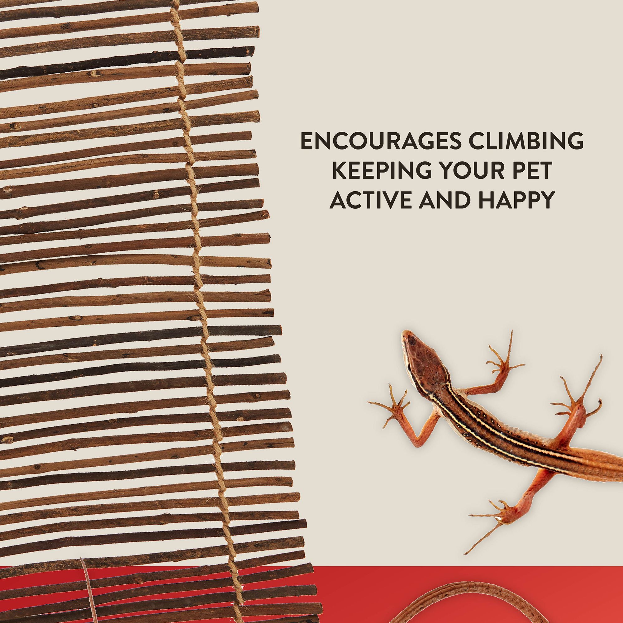 Thrive Climbing Reptile Branch Ladder - Climbing Terrarium Decor - thumbnail 3