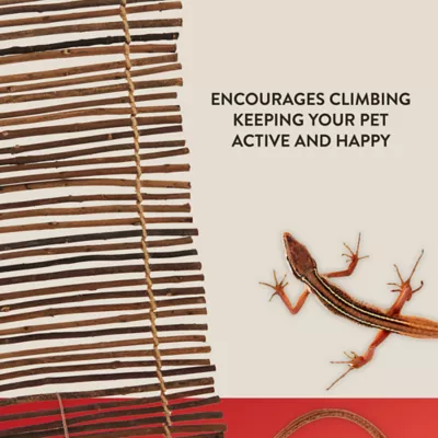 Product Thrive Climbing Reptile Branch Ladder