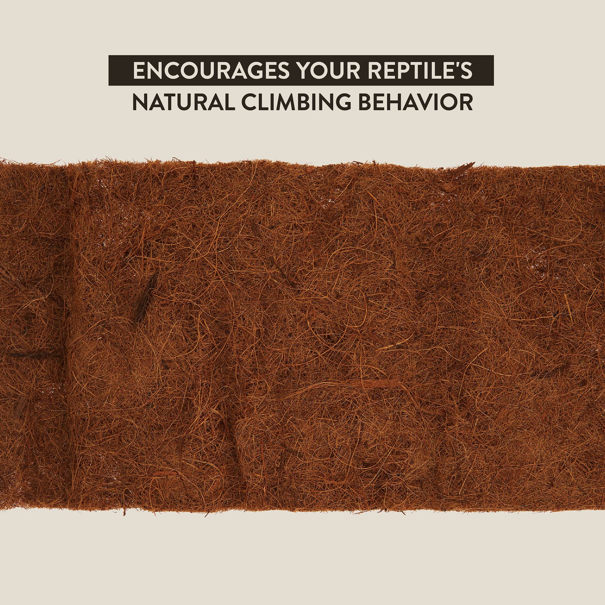 Thrive Natural Coconut Fiber Climbing Background - Terrarium Background - thumbnail 4