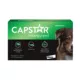 Product Capstar™ Large Dog Flea Treatment - 6 Count