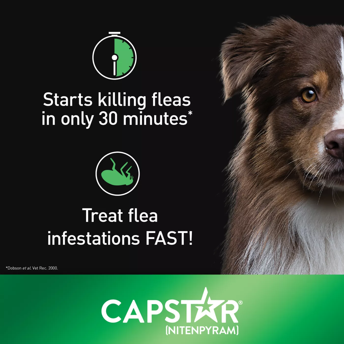 Capstar Large Dog Flea Treatment 6 Count