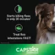 Product Capstar™ Large Dog Flea Treatment - 6 Count