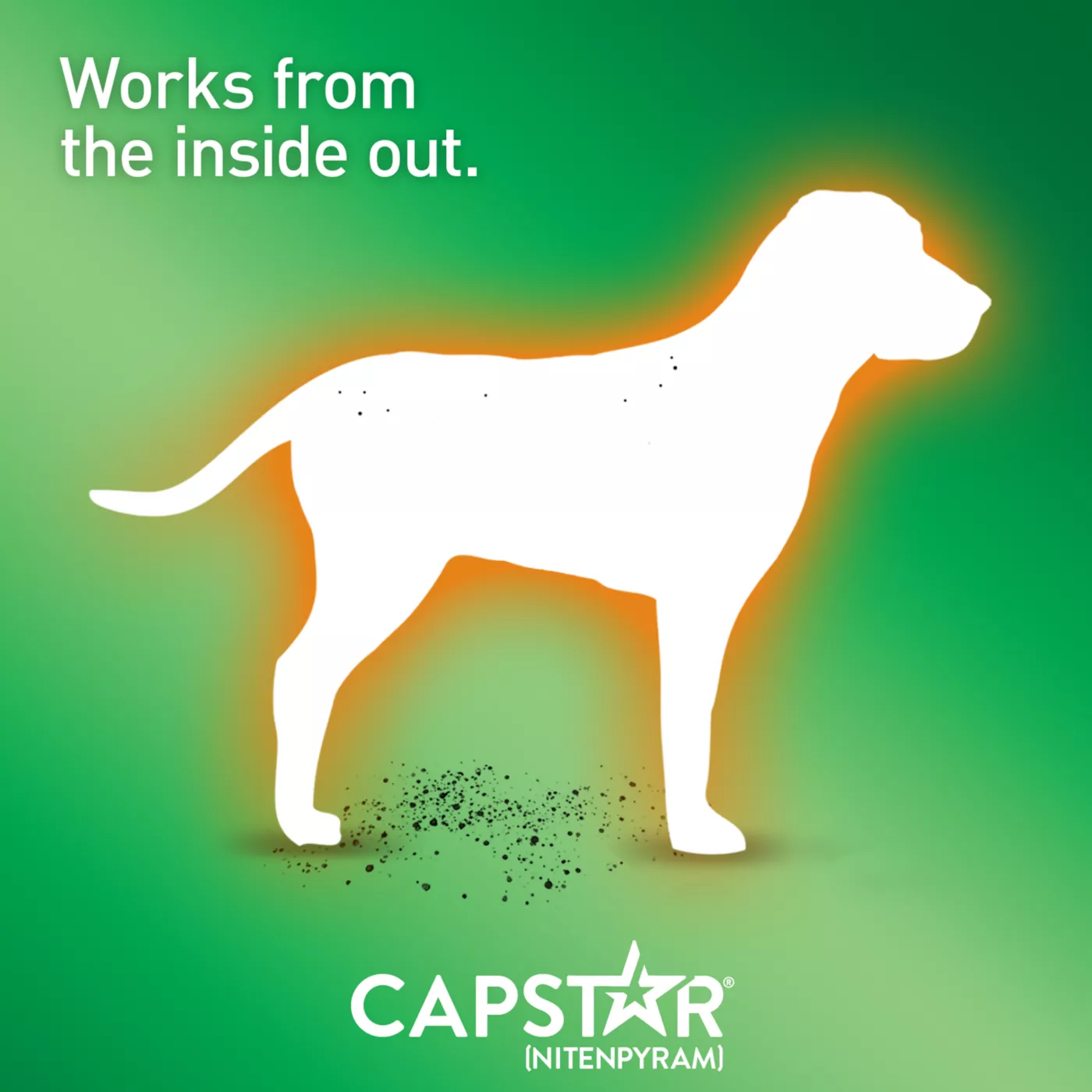 Capstar over the counter best sale