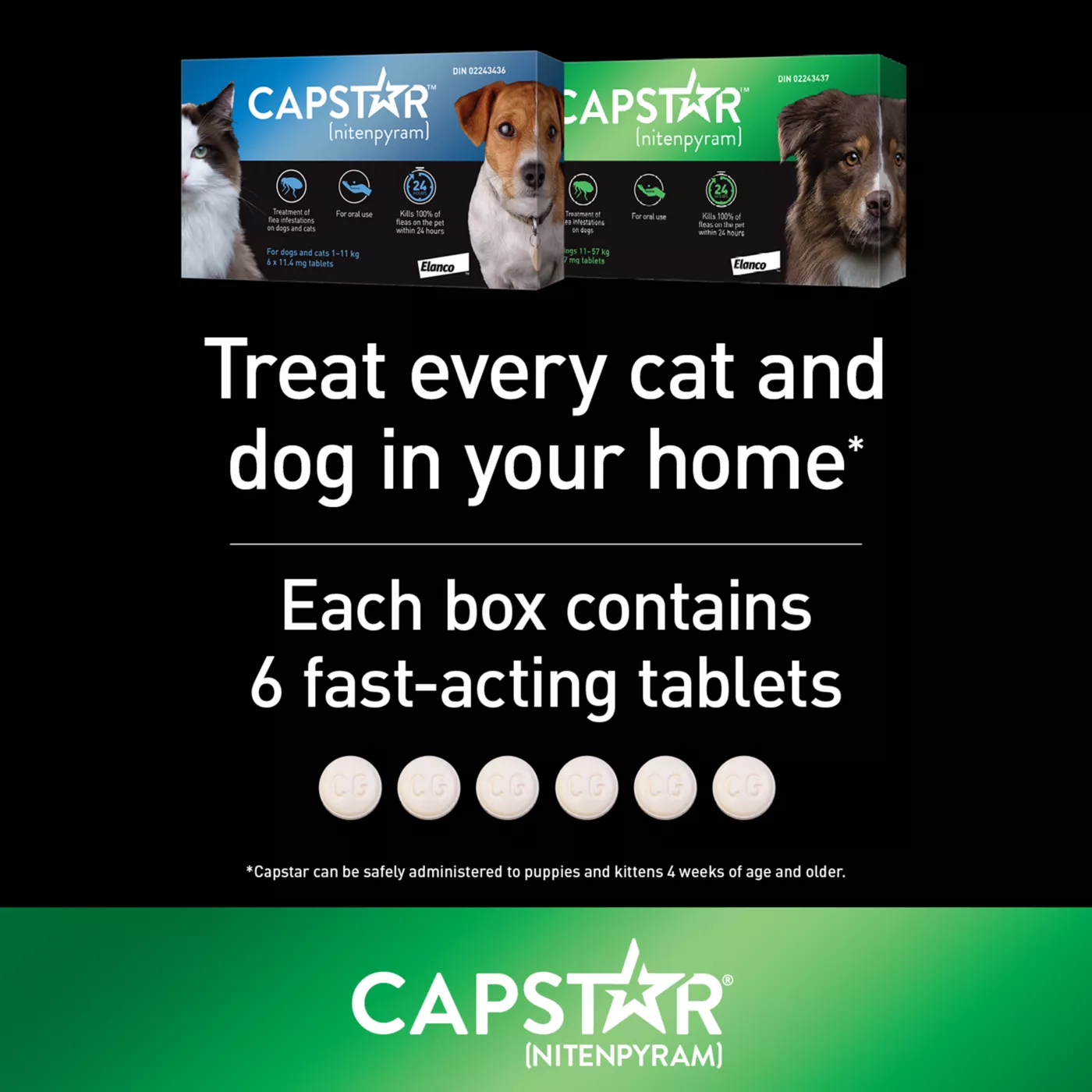 Capstar Large Dog Flea Treatment 6 Count