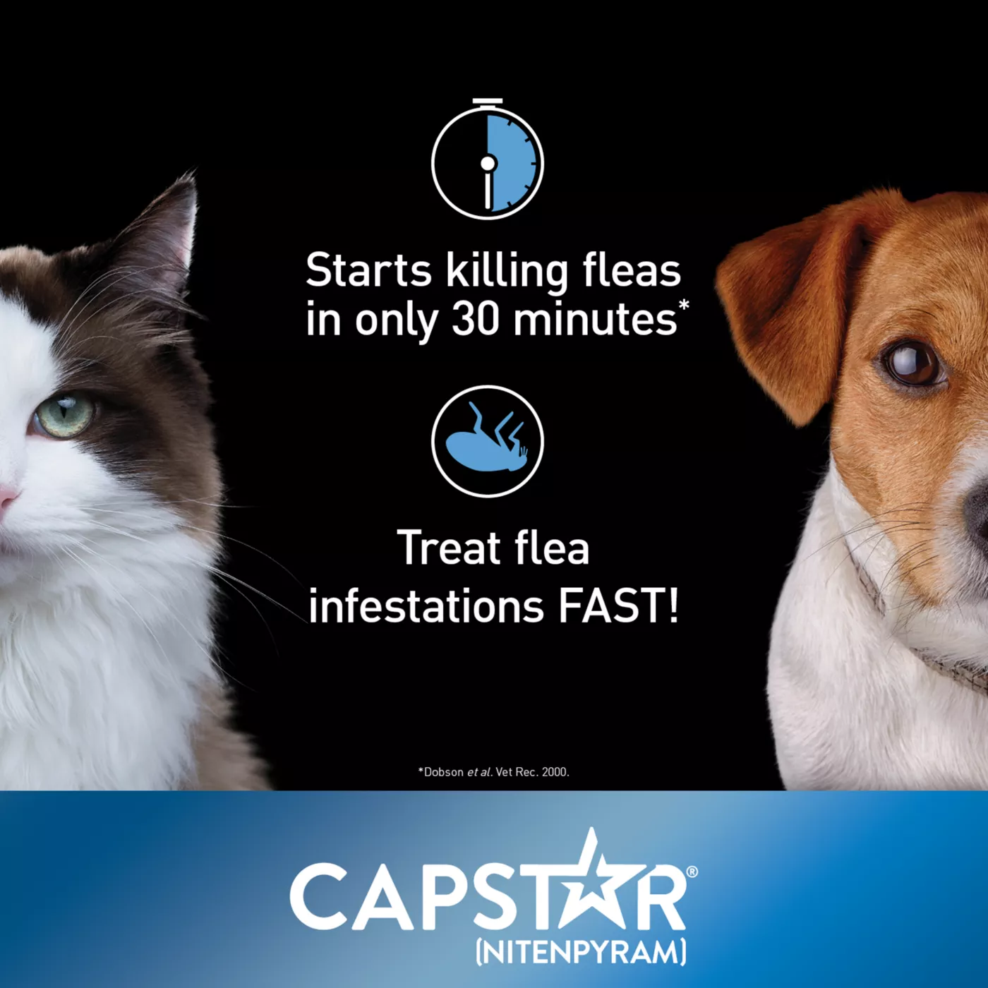 Capstar Small Dog Cat Flea Treatment 6 Count