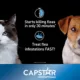 Product Capstar™ Small Dog & Cat Flea Treatment - 6 Count