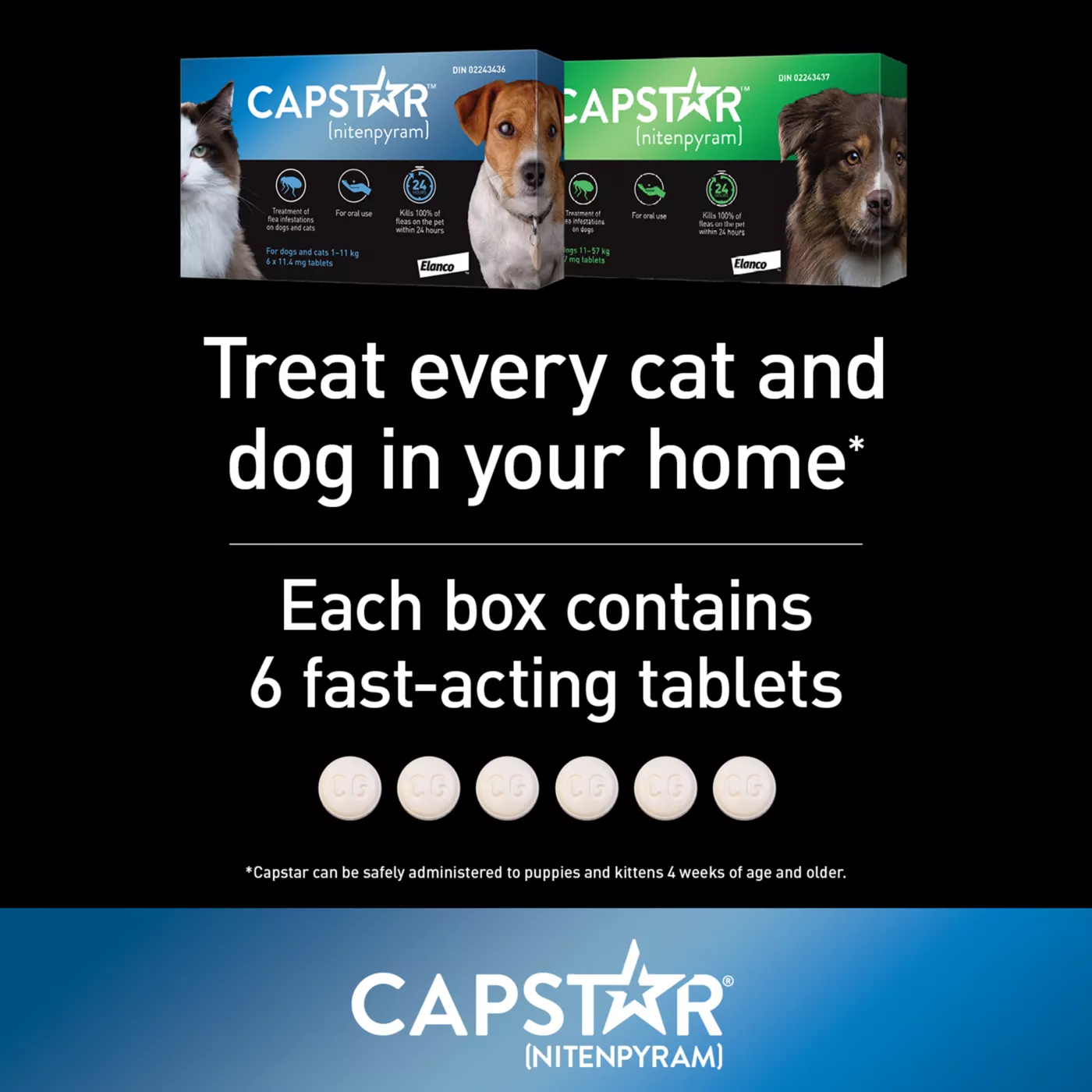 Capstar Small Dog Cat Flea Treatment 6 Count