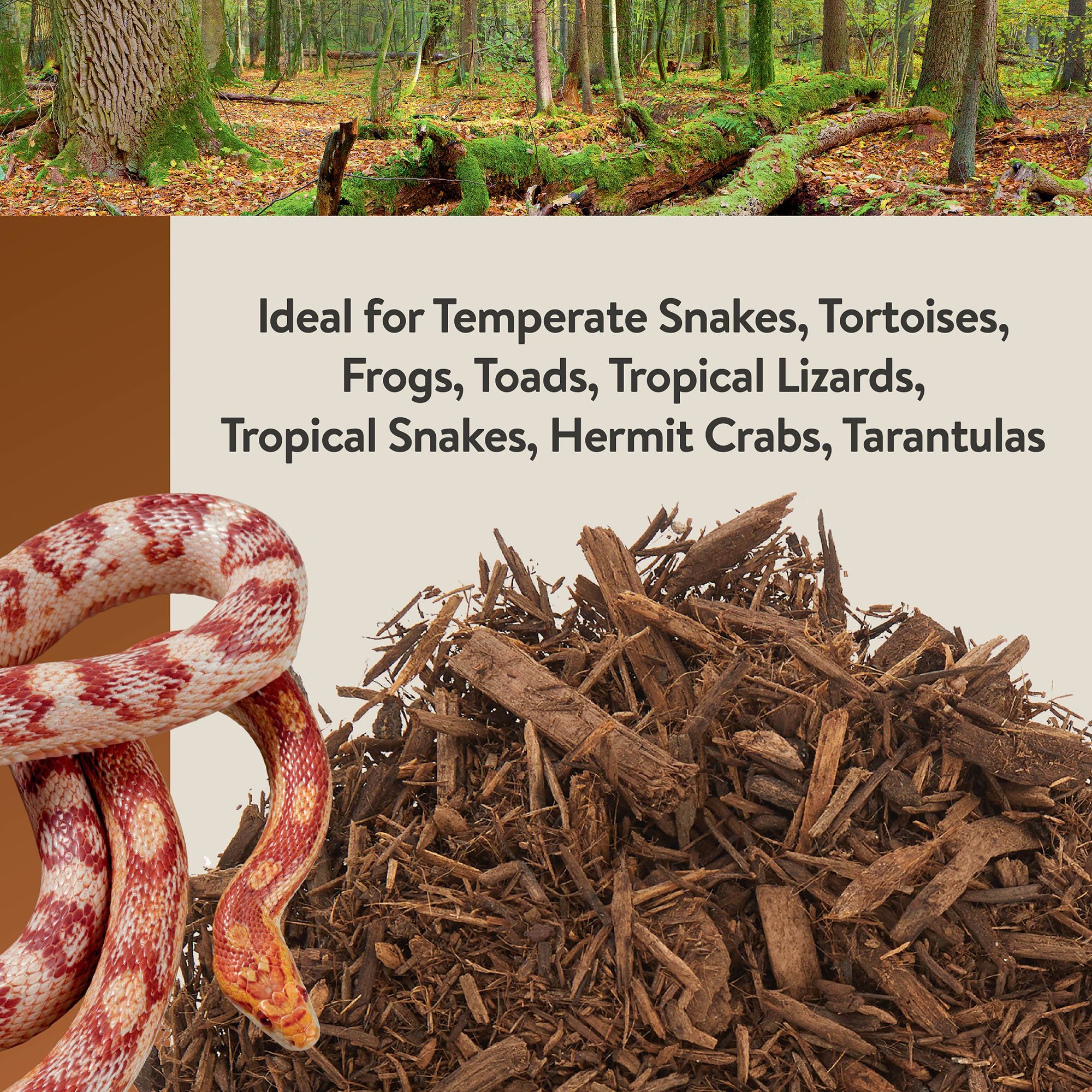 Thrive Cypress Mulch Reptile Bedding - Reptile Substrate & Bedding - 4-24 qt - thumbnail 6