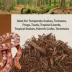Thrive Cypress Mulch Reptile Bedding image thumbnail 6