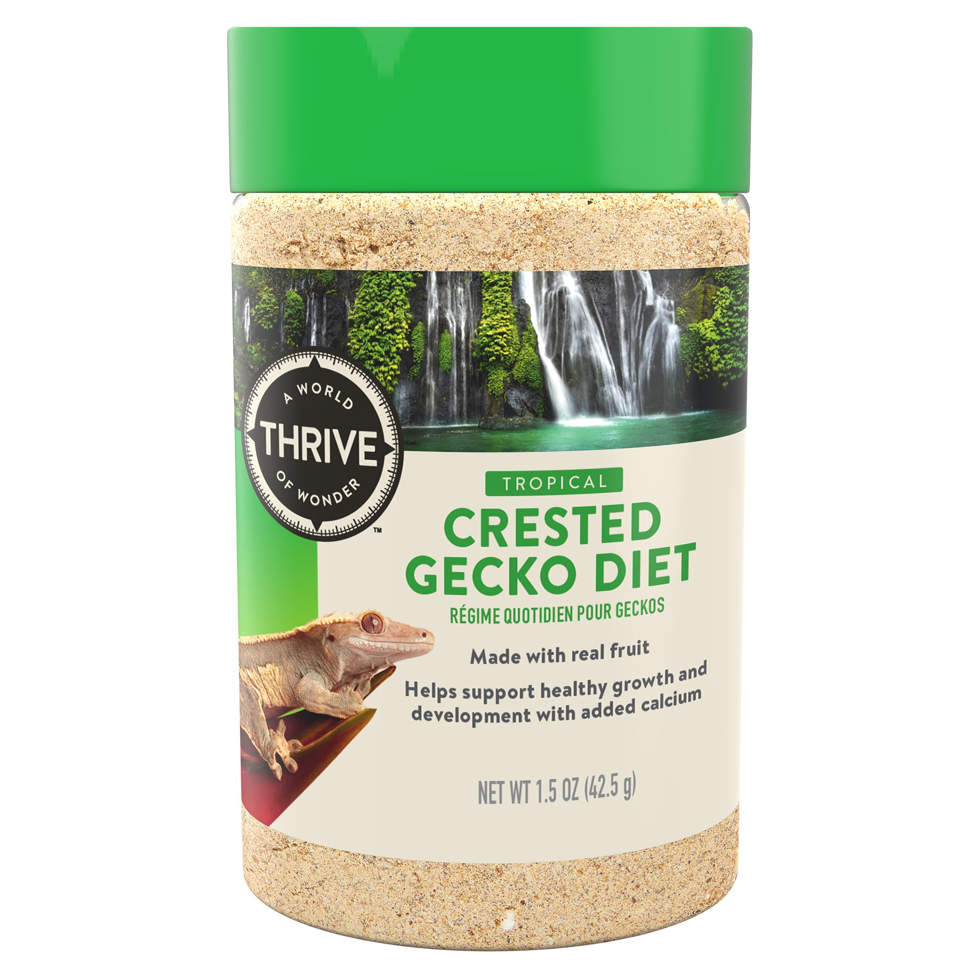 petsmart gecko food