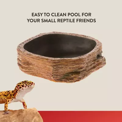 Product Thrive Brown Reptile Bowl