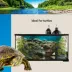 Thrive Semi-Aquatic Turtle Tank Vine image thumbnail 5