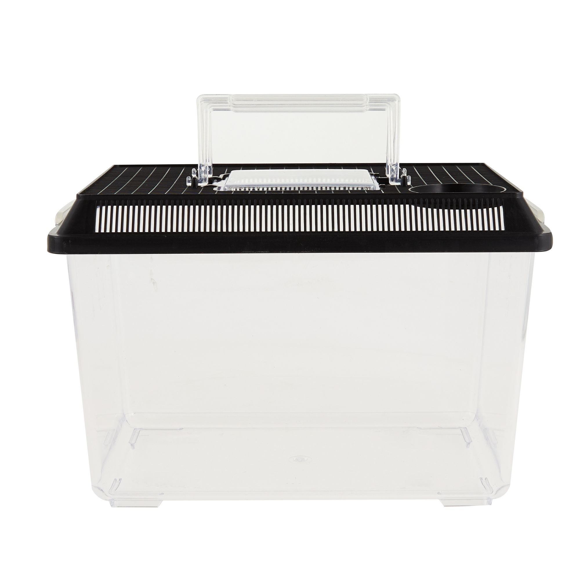 reptile transport box