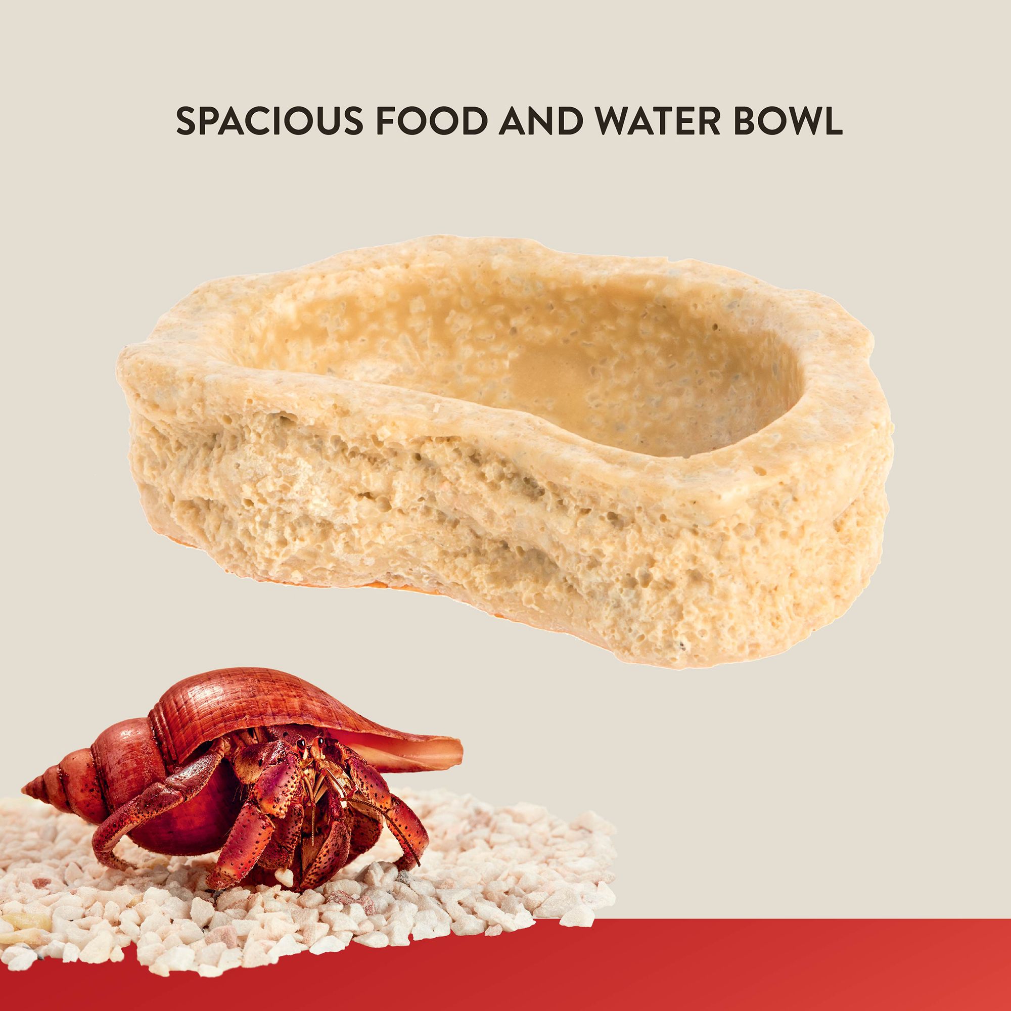 Thrive Hermit Crab Bowl - Hermit Crab Food & Water Bowl - thumbnail 3