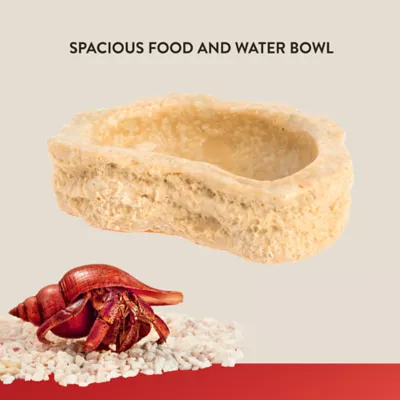 Product Thrive Hermit Crab Bowl