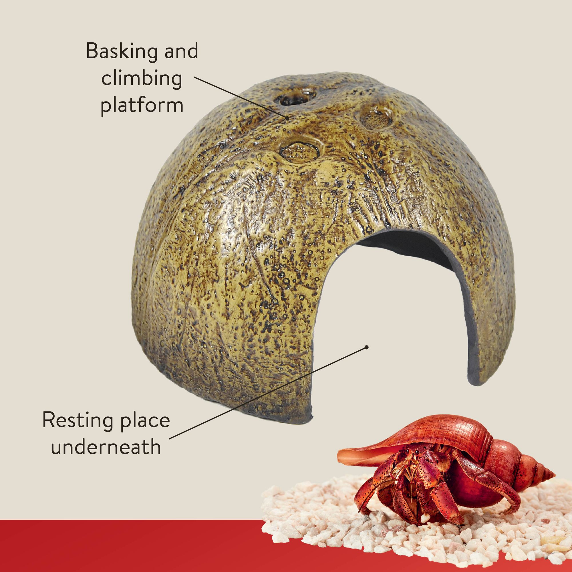 Thrive Coconut Shell Hut Reptile Decor - Reptile Hide Decor - thumbnail 3