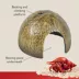 Thrive Coconut Shell Hut Reptile Decor image thumbnail 3