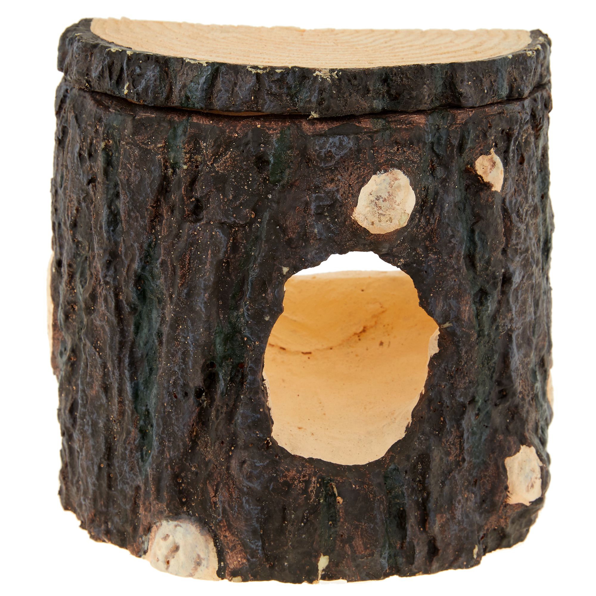 Thrive Vertical Hide Decor with Suction Cup reptile Habitat Décor