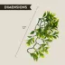 Thrive Medium Hanging Terrarium Plant image thumbnail 2