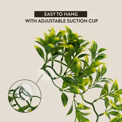 Product Thrive Medium Hanging Terrarium Plant