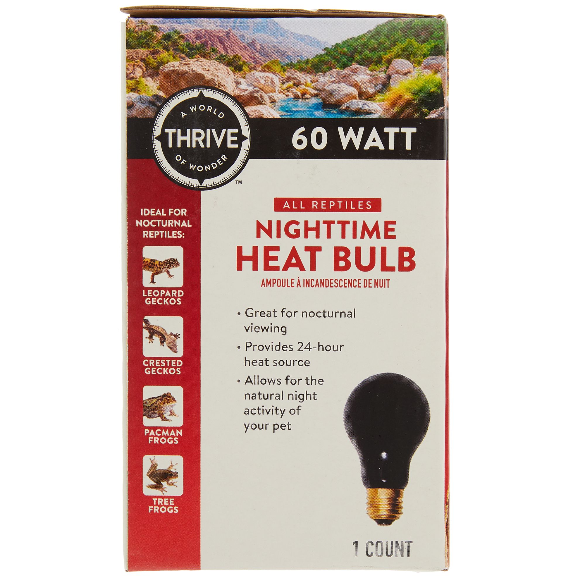 grreat choice nighttime incandescent heat bulb